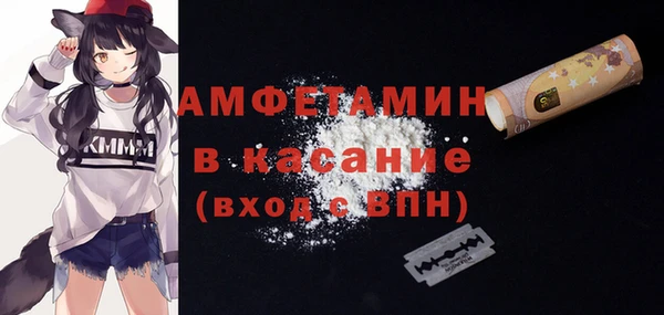 сатива Балахна