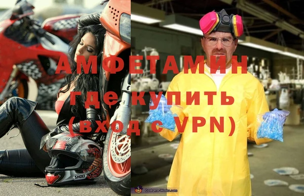 сатива Балахна