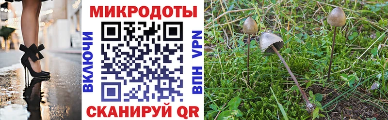 купить закладку  Губаха  Псилоцибиновые грибы Cubensis 