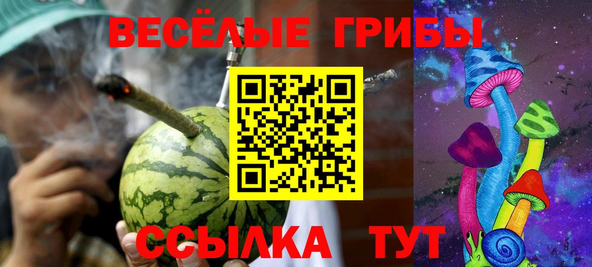 Галлюциногенные грибы MAGIC MUSHROOMS  Вход с VPN  Губаха 