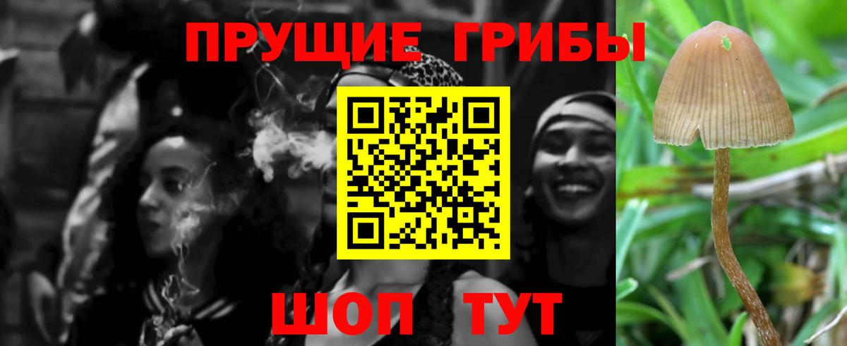 Галлюциногенные грибы Magic Shrooms Губаха