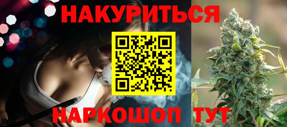 Бошки Шишки планчик  Каннабис OG Kush  Вход с VPN  Бошки марихуана сатива  Губаха 